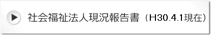 社会福祉法人現況報告書（H30.4.1現在）